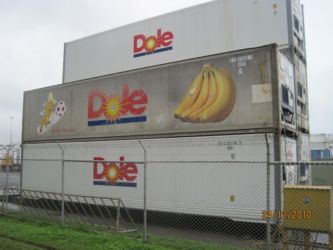 Exportation e banane