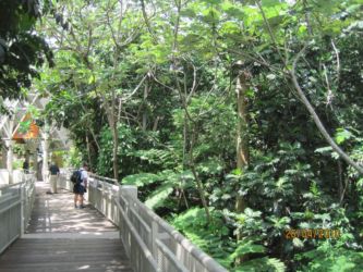 Entrée de la forêt d'El Yunque