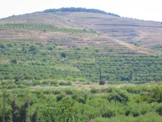 Les collines du Djebel Ansarié, vues du Krak