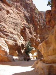 Petra, le Siq (défilé de 1,2 km)