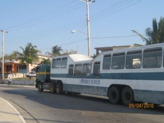 Transport public