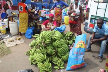 Vendeuse de banane-plantain à Abengourou
